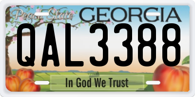 GA license plate QAL3388