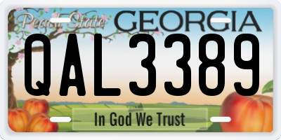 GA license plate QAL3389