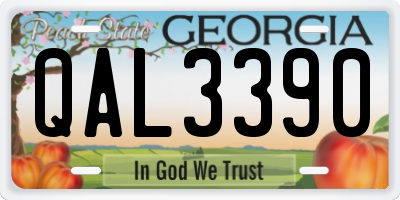 GA license plate QAL3390