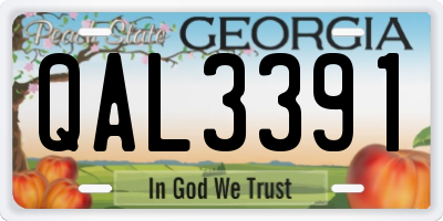 GA license plate QAL3391