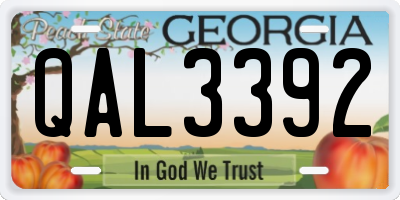 GA license plate QAL3392