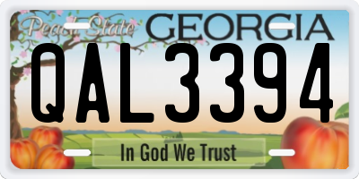 GA license plate QAL3394