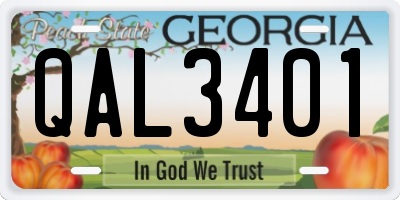 GA license plate QAL3401