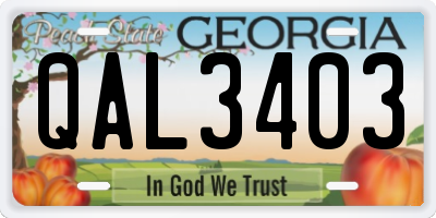 GA license plate QAL3403