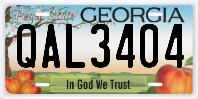 GA license plate QAL3404