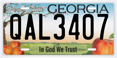 GA license plate QAL3407