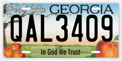 GA license plate QAL3409