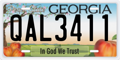 GA license plate QAL3411