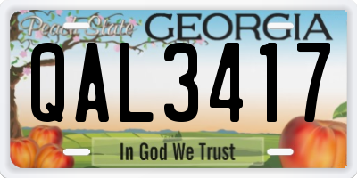 GA license plate QAL3417