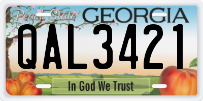 GA license plate QAL3421