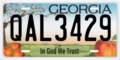 GA license plate QAL3429