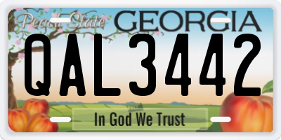 GA license plate QAL3442