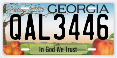 GA license plate QAL3446