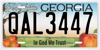 GA license plate QAL3447