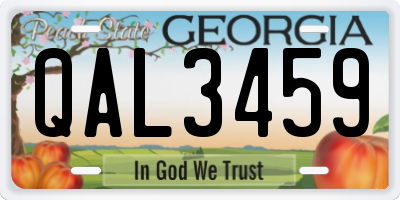 GA license plate QAL3459