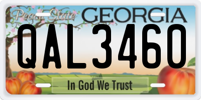 GA license plate QAL3460