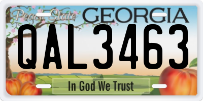 GA license plate QAL3463