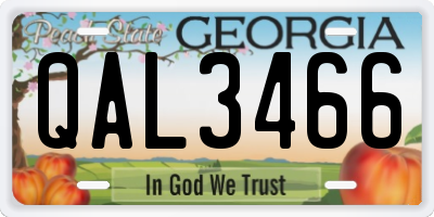 GA license plate QAL3466