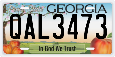 GA license plate QAL3473