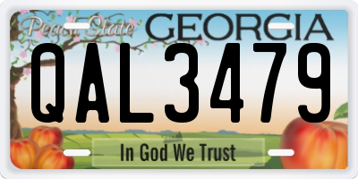 GA license plate QAL3479