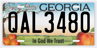 GA license plate QAL3480