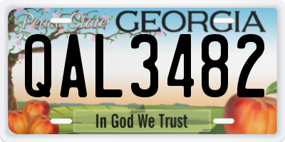 GA license plate QAL3482