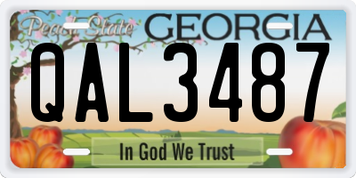 GA license plate QAL3487