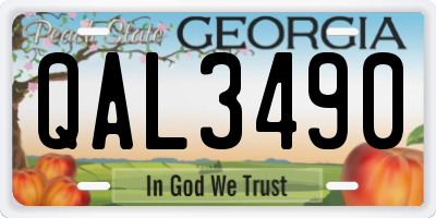 GA license plate QAL3490