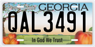 GA license plate QAL3491