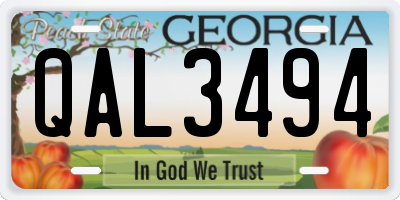 GA license plate QAL3494