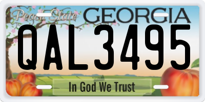 GA license plate QAL3495