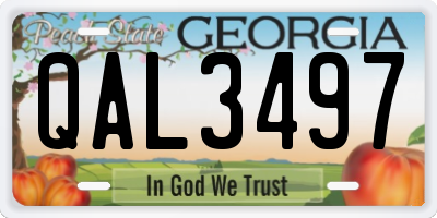 GA license plate QAL3497