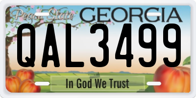 GA license plate QAL3499