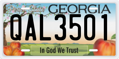 GA license plate QAL3501