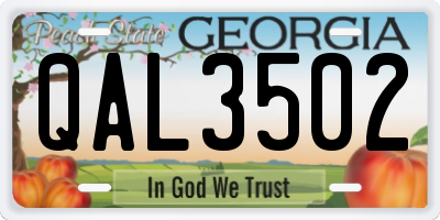 GA license plate QAL3502