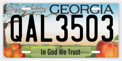 GA license plate QAL3503