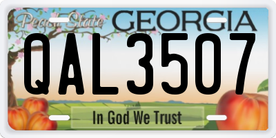 GA license plate QAL3507