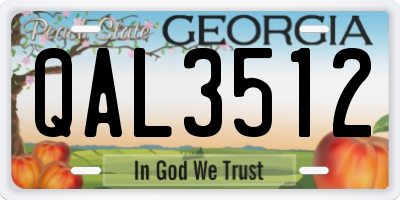 GA license plate QAL3512