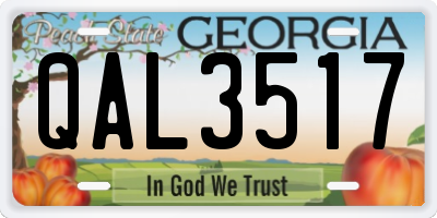 GA license plate QAL3517