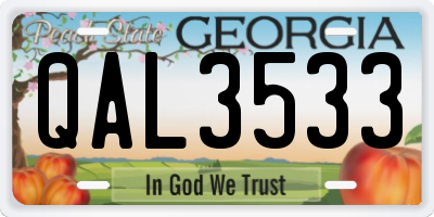 GA license plate QAL3533