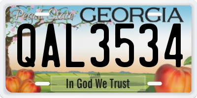 GA license plate QAL3534