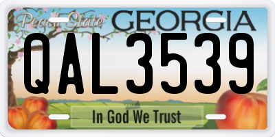 GA license plate QAL3539