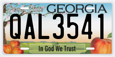 GA license plate QAL3541