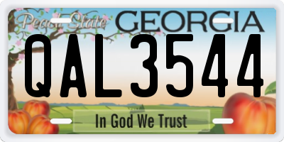 GA license plate QAL3544