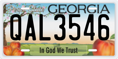 GA license plate QAL3546