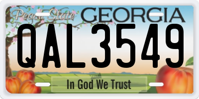 GA license plate QAL3549