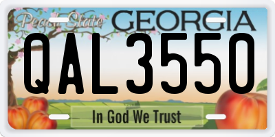 GA license plate QAL3550