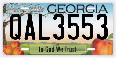 GA license plate QAL3553