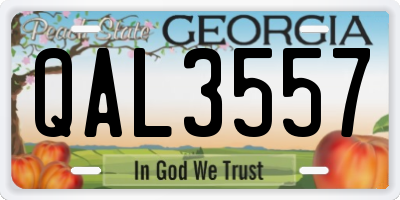 GA license plate QAL3557