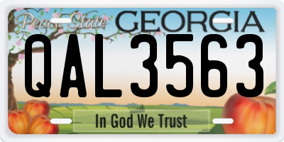 GA license plate QAL3563